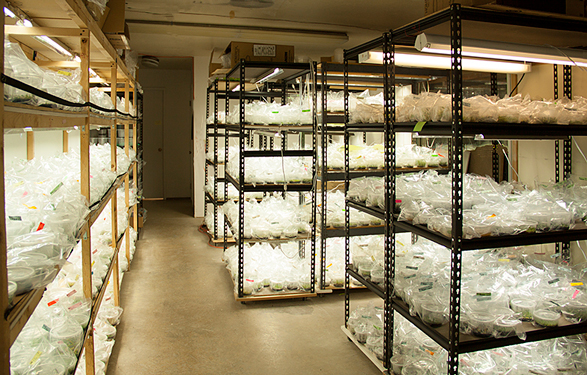 lab room 2013